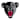 Maine Black Bears